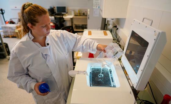 Unesco marca Semana Internacional da Ciência e da Paz com foco em soluções